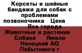 Корсеты и шейные бандажи для собак с проблемами позвоночника › Цена ­ 2 500 - Все города Животные и растения » Собаки   . Ямало-Ненецкий АО,Лабытнанги г.